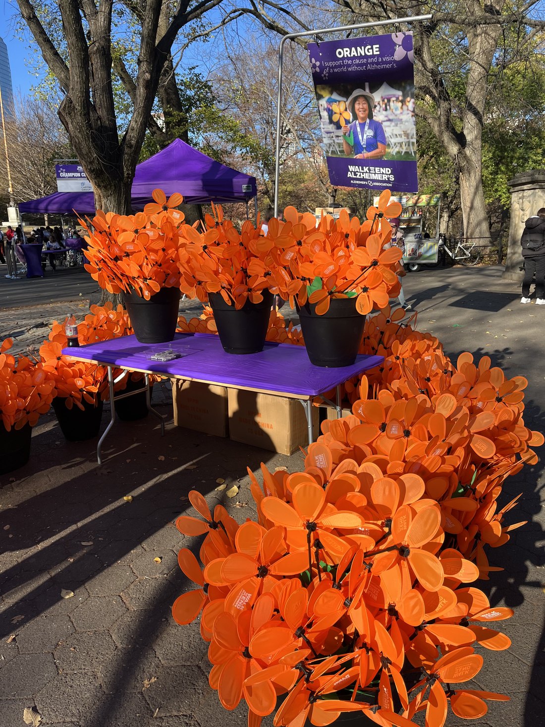 Marigolds in bloom at an Alzheimer's Association Memories in Bloom gala