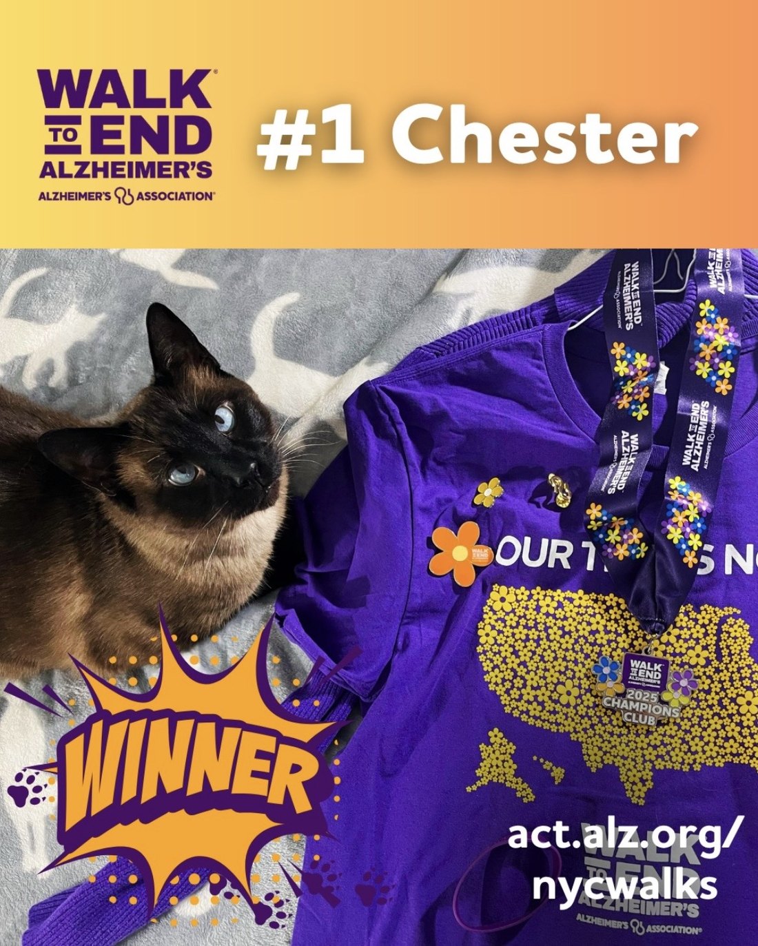 Chester the Cat, winner of the Alzheimer's Association NYC Walk Pet Mascot Contest